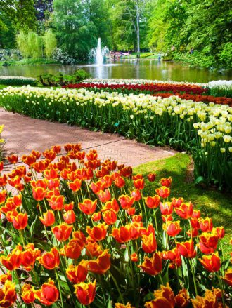 keukenhof lisse